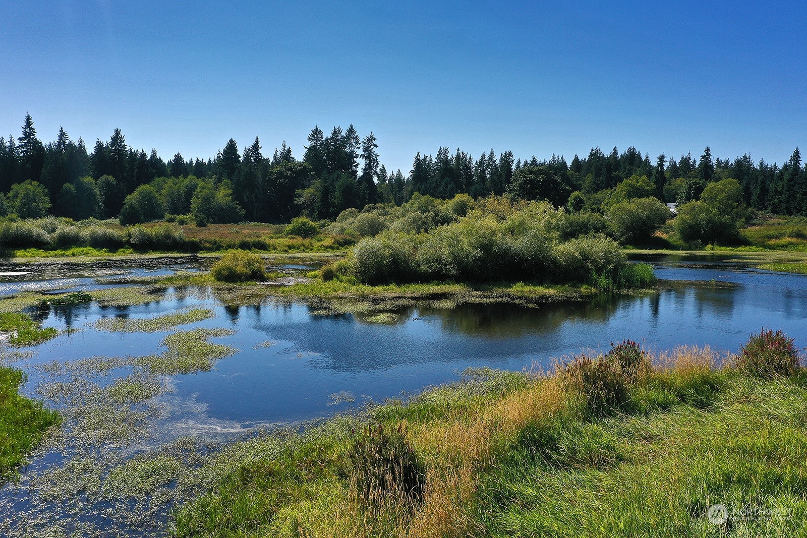 2 Turkey Hill Road Clinton, WA 98236 - Photo 22 of 23 Gallery Image 22