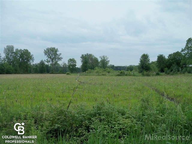 7733 Trumble Road Columbus, MI 48063 - Photo 2 of 7
