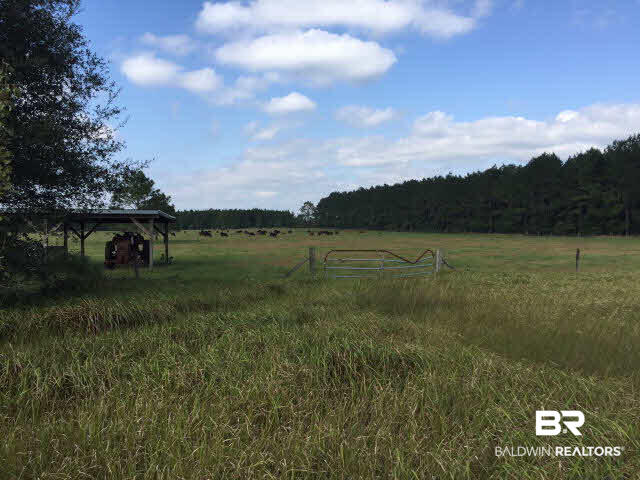 28661 Three Mile Road Elberta, AL 36530 - Photo 7 of 30