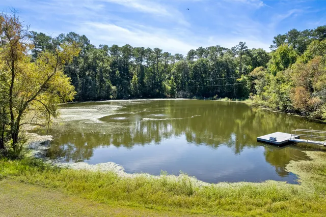 $850,000 | 7175 Parkers Ferry Road, Adams Run, SC 29426