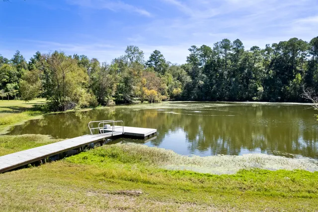 $850,000 | 7175 Parkers Ferry Road, Adams Run, SC 29426