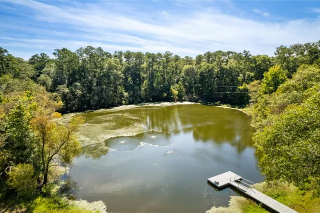 $850,000 | 7175 Parkers Ferry Road, Adams Run, SC 29426