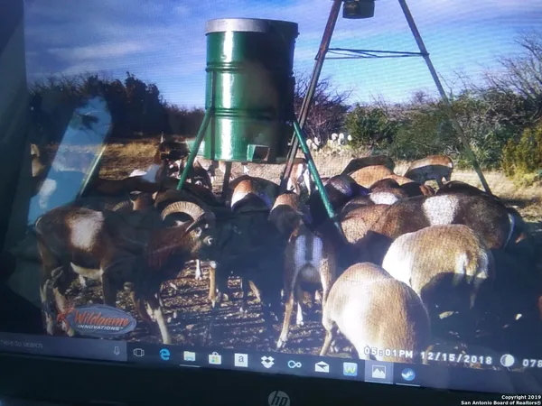 $380,000 | 1052 Steep Road, Del Rio, TX 78840