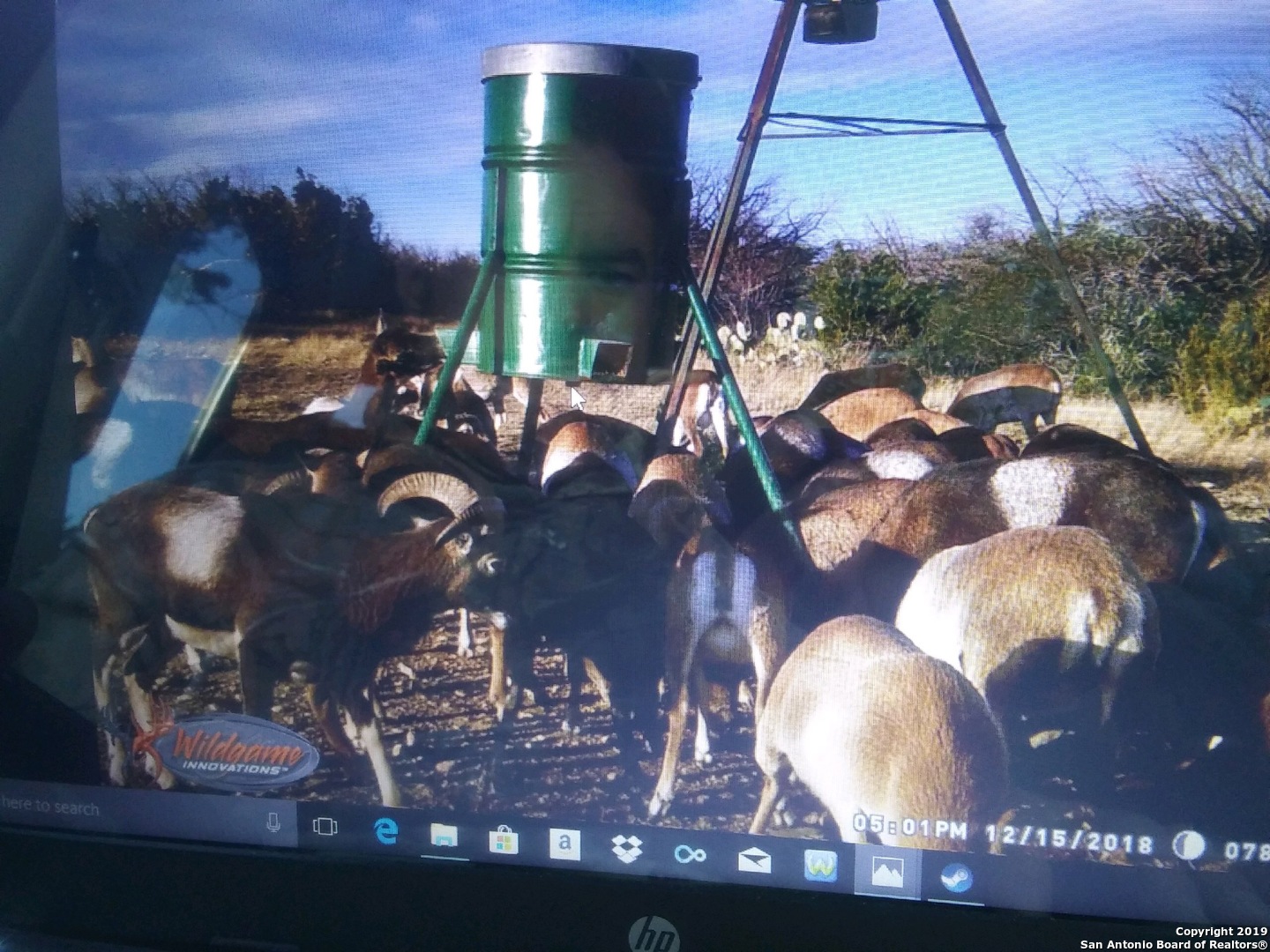 1052 Steep Road Del Rio, TX 78840 - Photo 13 of 25 a view of a dining room with furniture