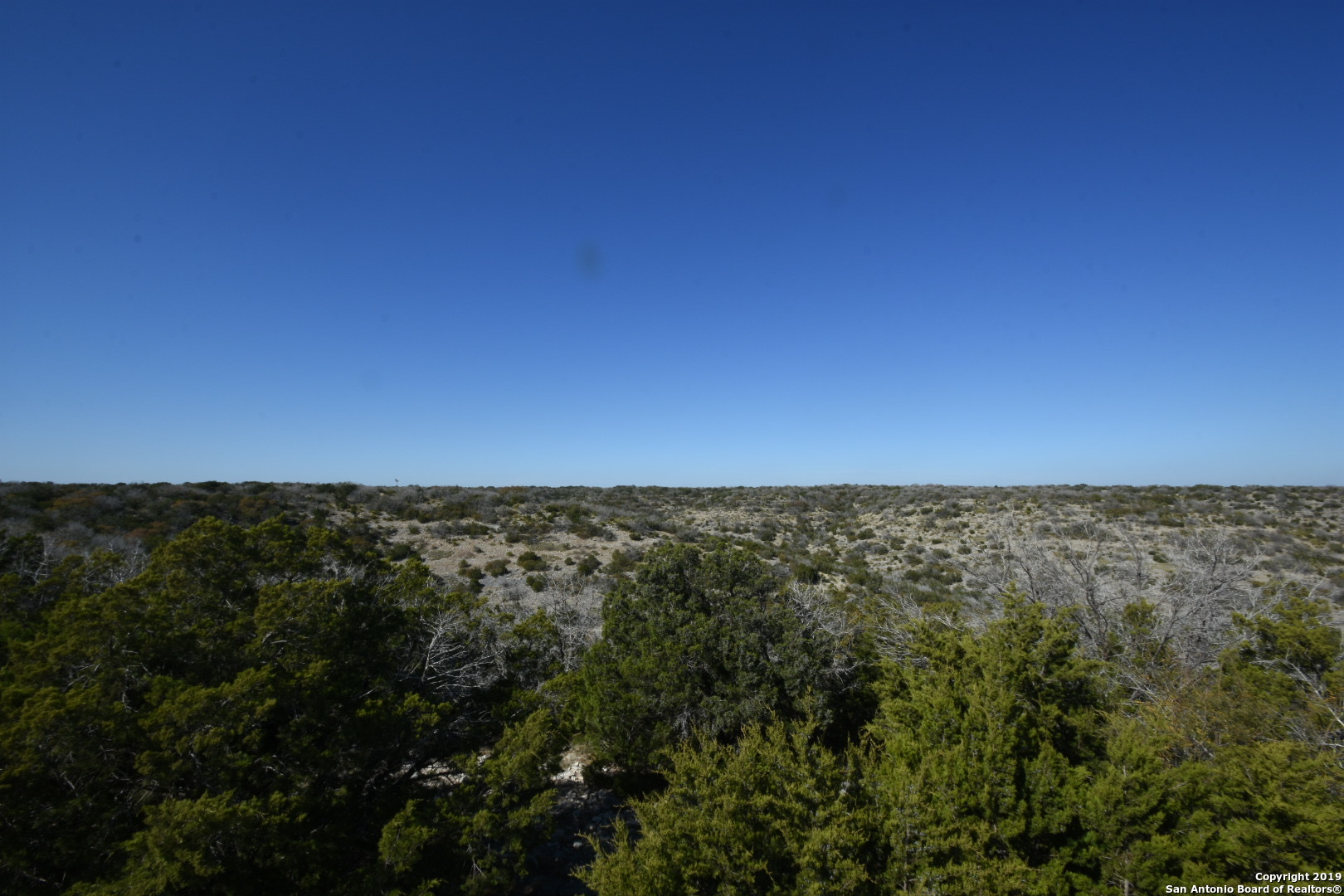 1052 Steep Road Del Rio, TX 78840 - Photo 24 of 25 a view of a green field