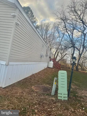 a view of backyard with tree