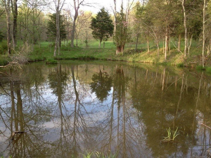 4932 Owenton Road Stamping Ground, KY 40379 - Photo 15 of 17 Gallery Image 15