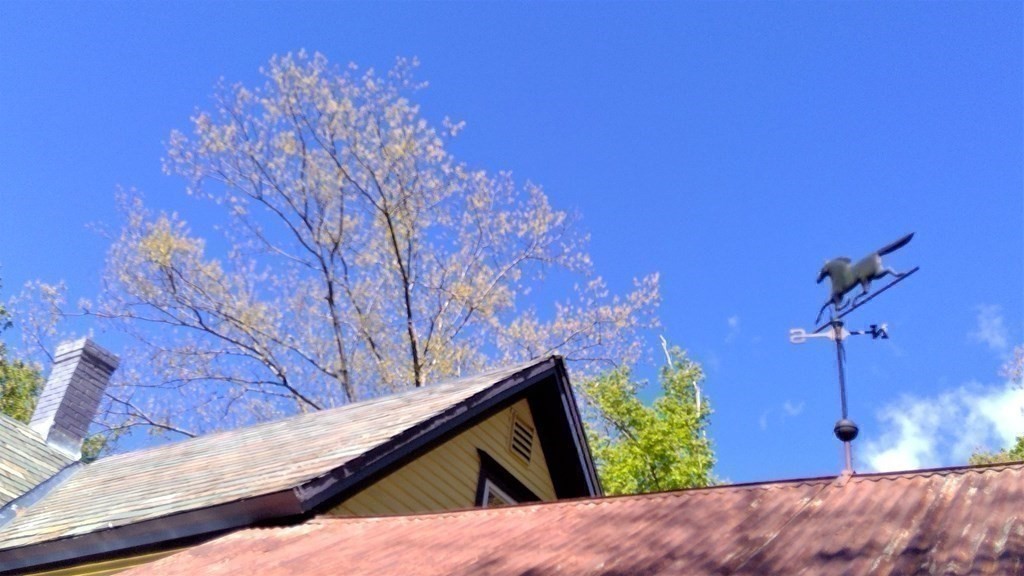 20 Frankton Road Shelburne, MA 01370 - Photo 41 of 41 a view of a terrace