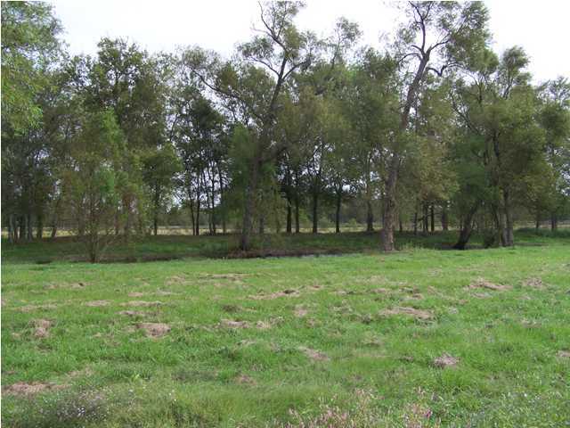 1618 Terrace Road Broussard, LA 70518 - Photo 1 of 3 Primary Photo