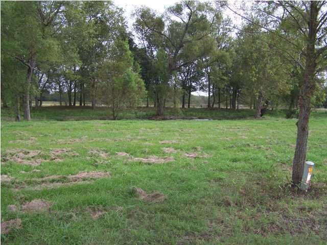 1618 Terrace Road Broussard, LA 70518 - Photo 2 of 3 Additional Photo