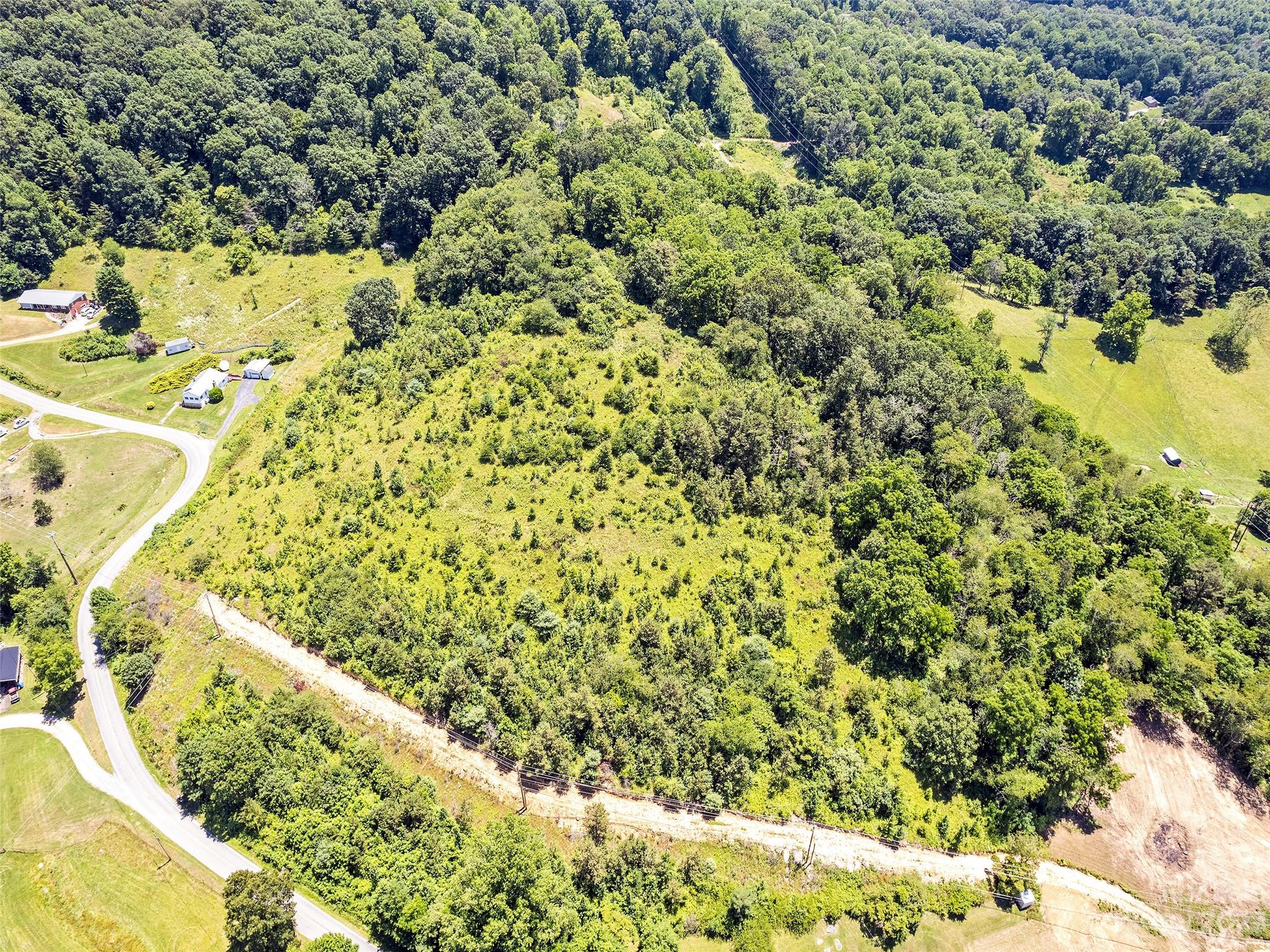 0 Hyder Mountain Road, Unit 6 Clyde, NC 28721 - Photo 2 of 11 a view of a yard with plants