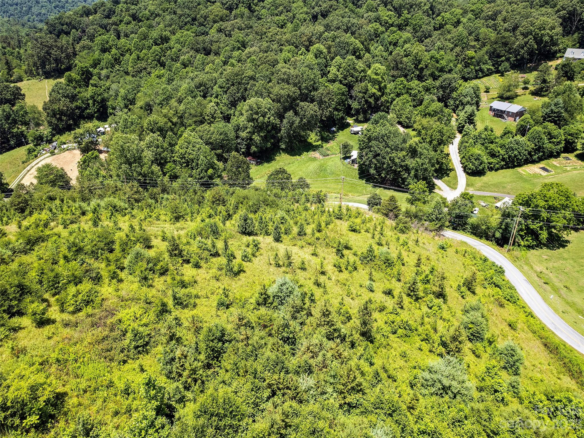0 Hyder Mountain Road, Unit 6 Clyde, NC 28721 - Photo 8 of 11 a view of a large yard with lots of green space