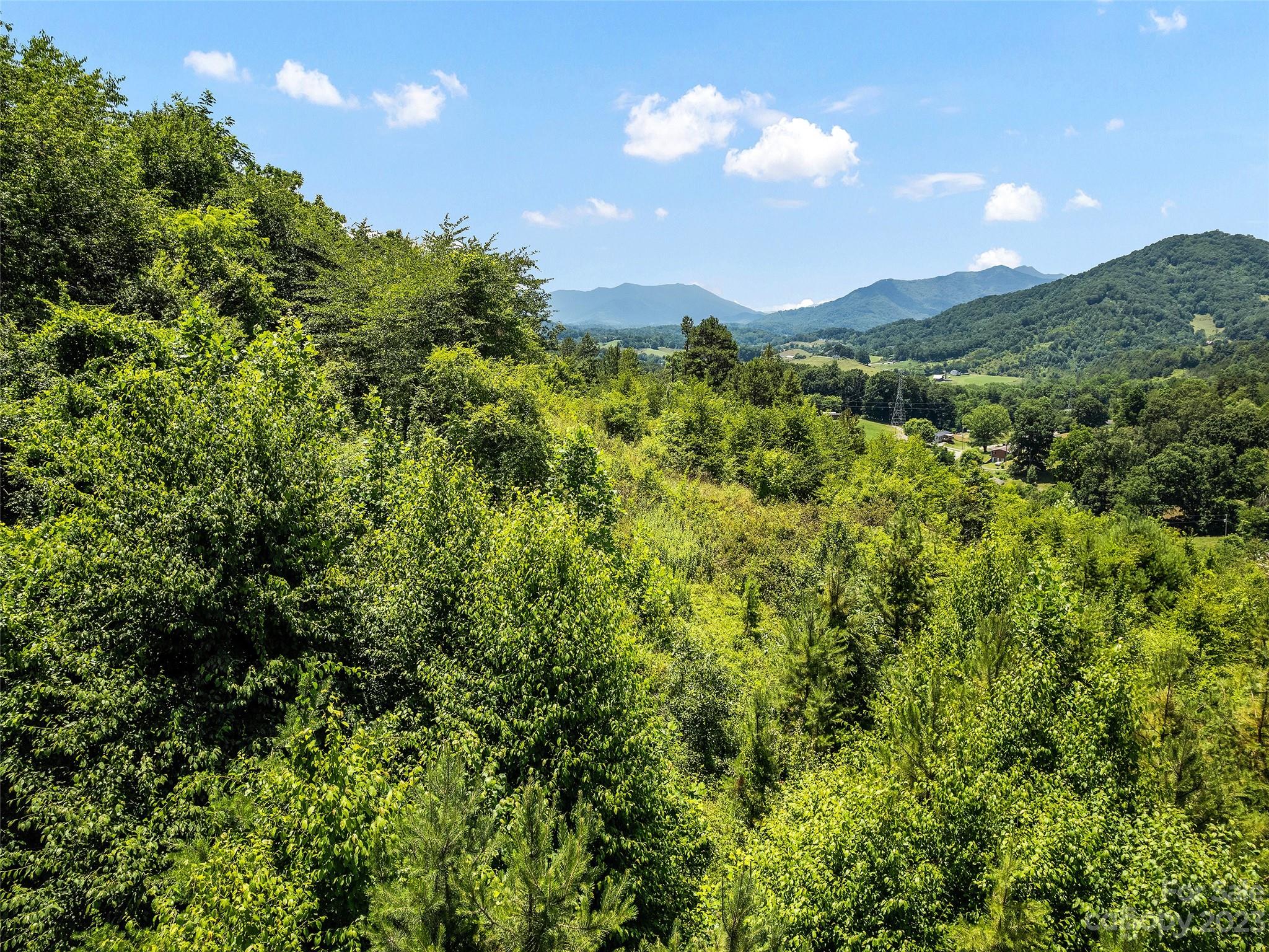 0 Hyder Mountain Road, Unit 6 Clyde, NC 28721 - Photo 10 of 11