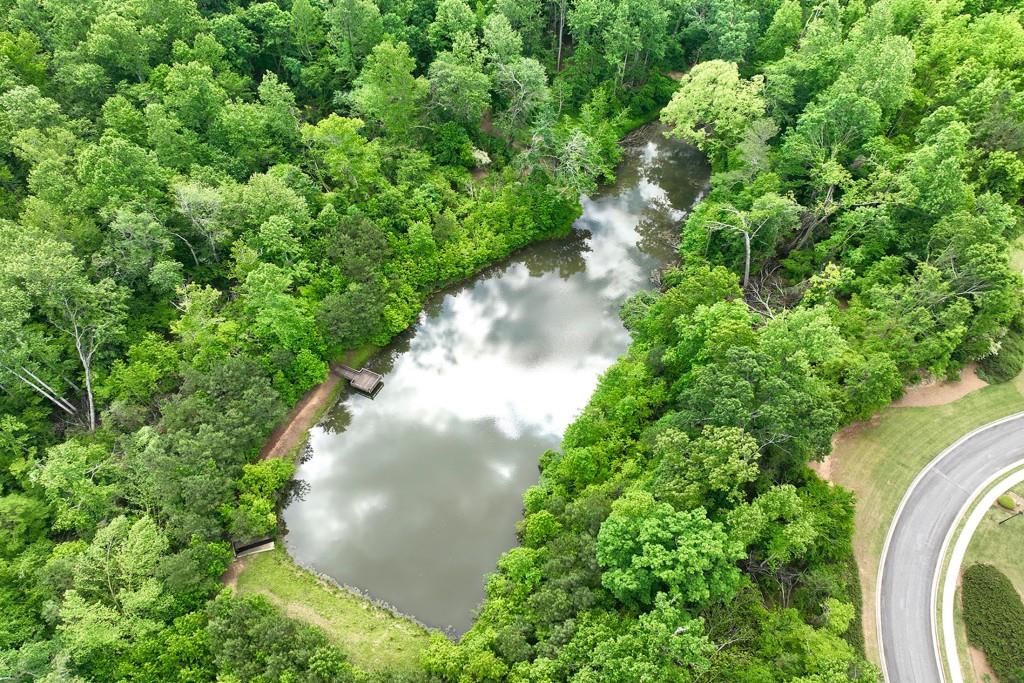 6130 Boulder Gate Way Cumming, GA 30028 - Photo 34 of 38 a view of a garden with a tree