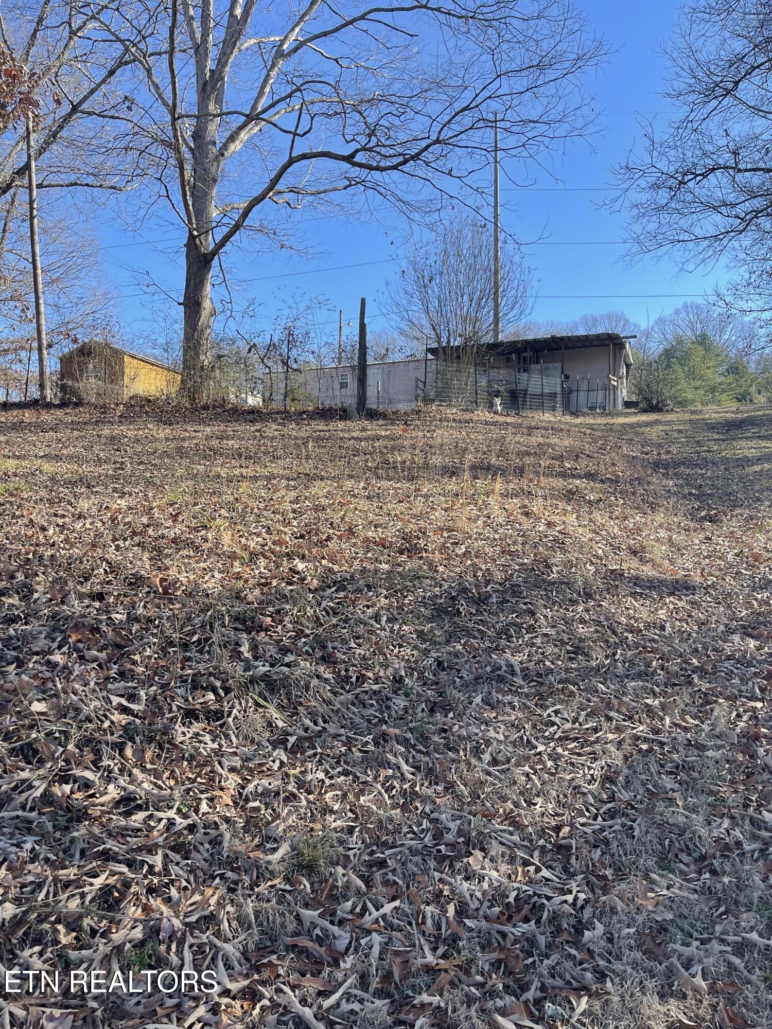 17670 Clear Branch Road South Loudon, TN 37774 - Photo 11 of 18 Backyard