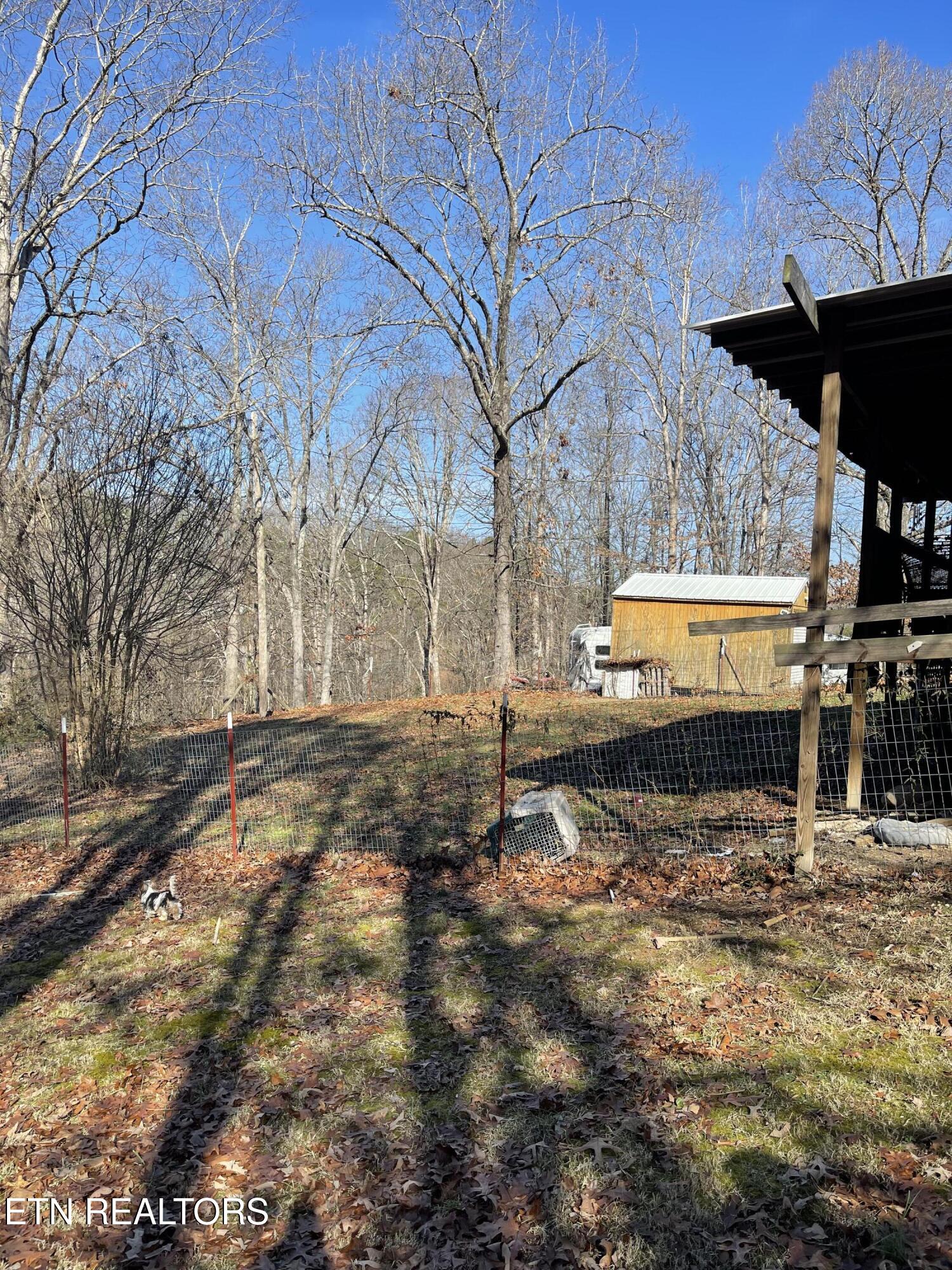 17670 Clear Branch Road South Loudon, TN 37774 - Photo 5 of 18 Backyard