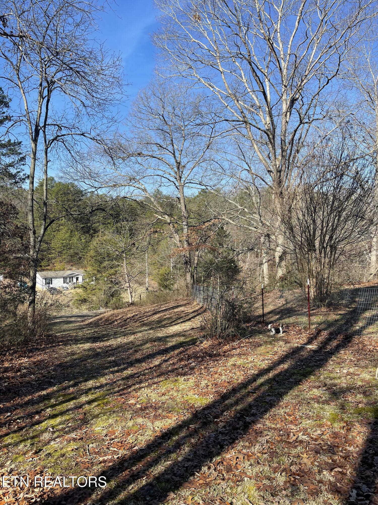 17670 Clear Branch Road South Loudon, TN 37774 - Photo 7 of 18 Backyard
