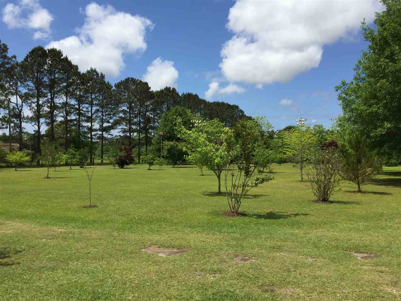 14126 County Road 55 Foley, AL 36535 - Photo 37 of 41