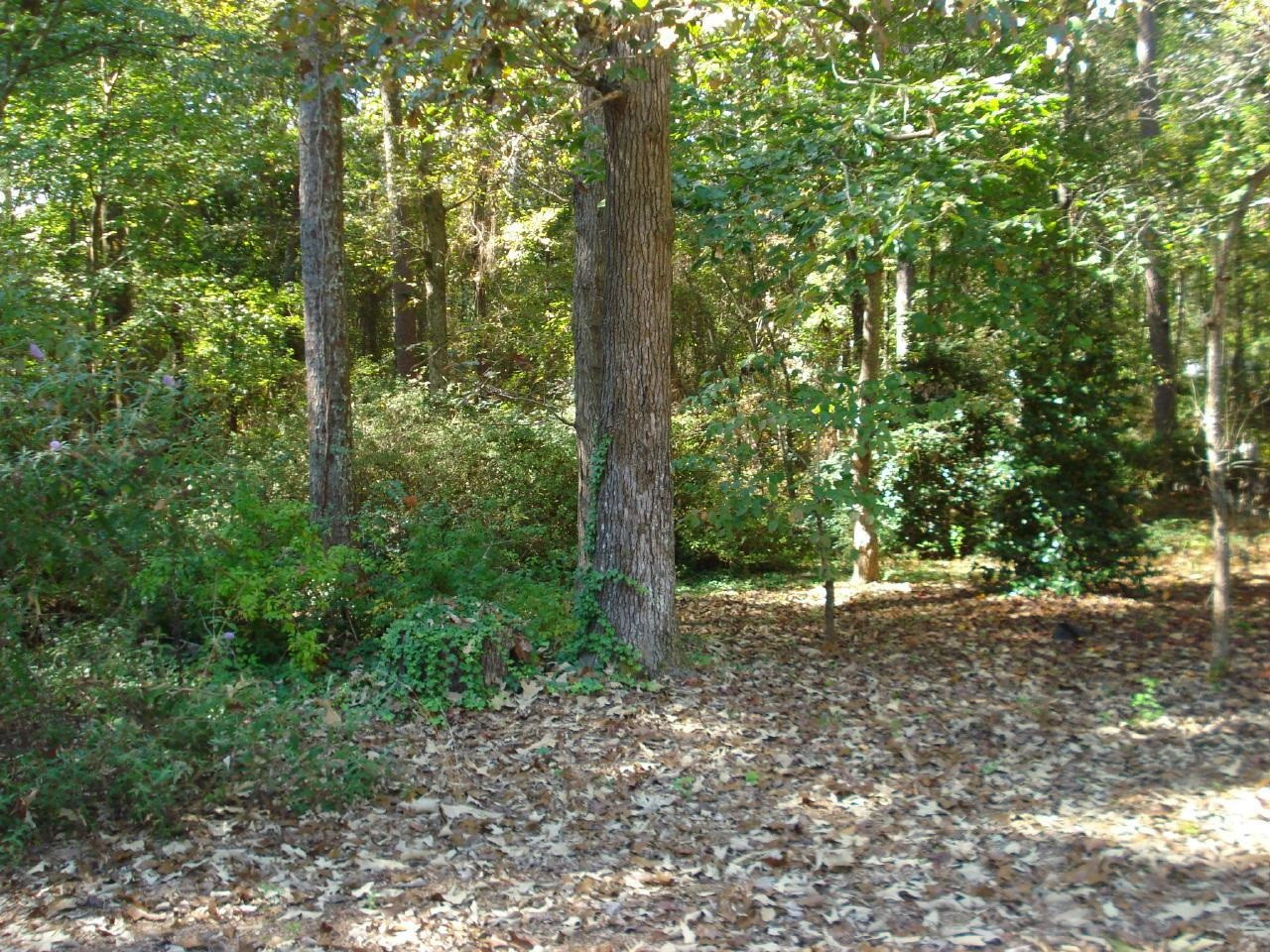 2635 Federal Road Benson, NC 27504 - Photo 19 of 22 Photo 19