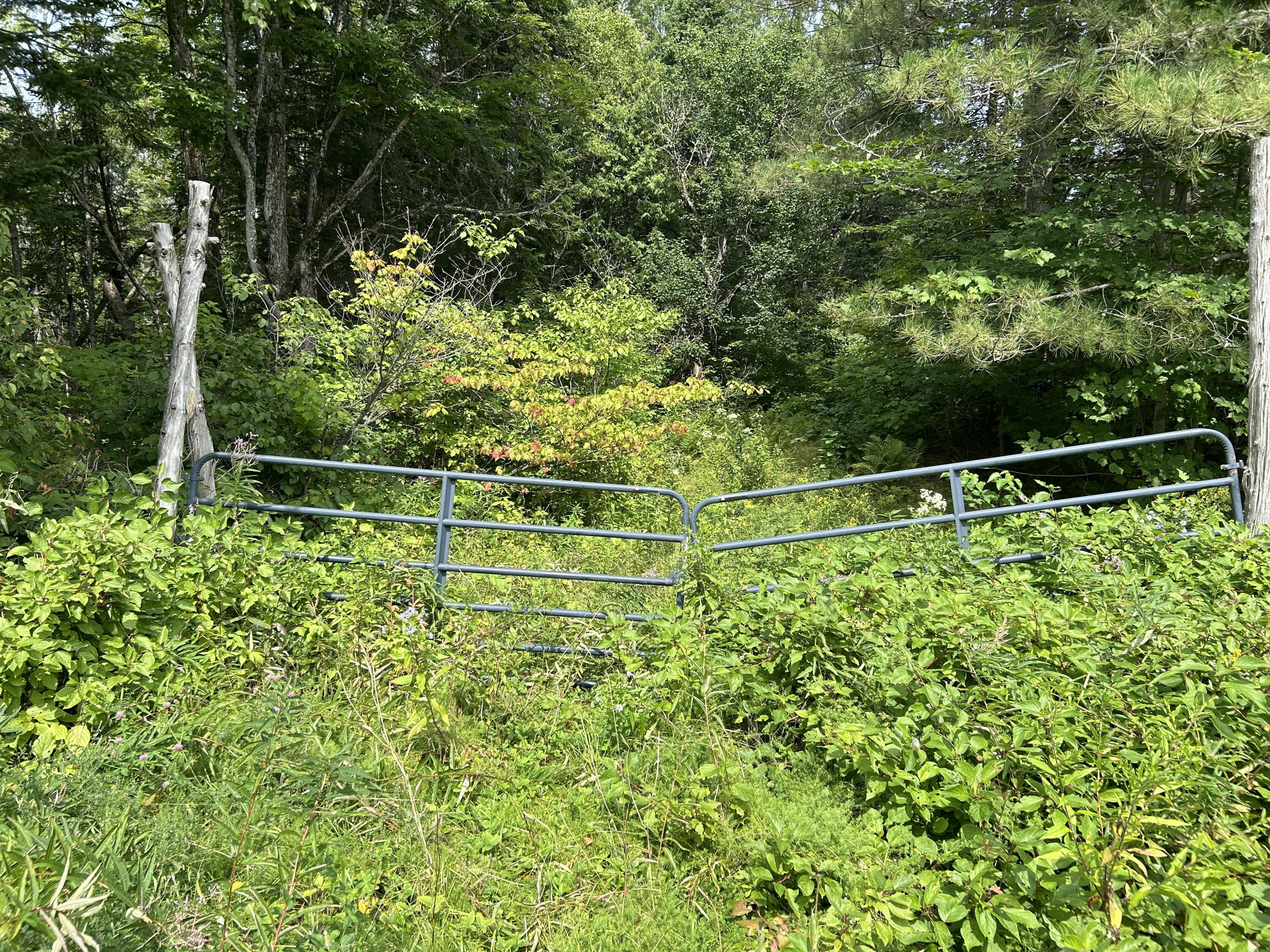 272 E Road New Sweden, ME 04762 - Photo 38 of 41 IMG_9738