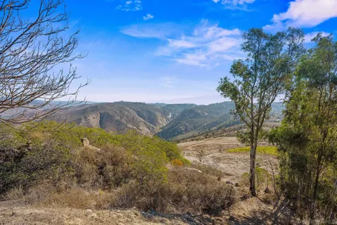 a view of outdoor space with garden