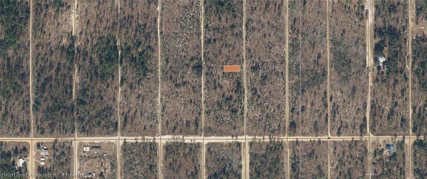 Dothan Street Interlachen, FL 32148 - Photo 2 of 6