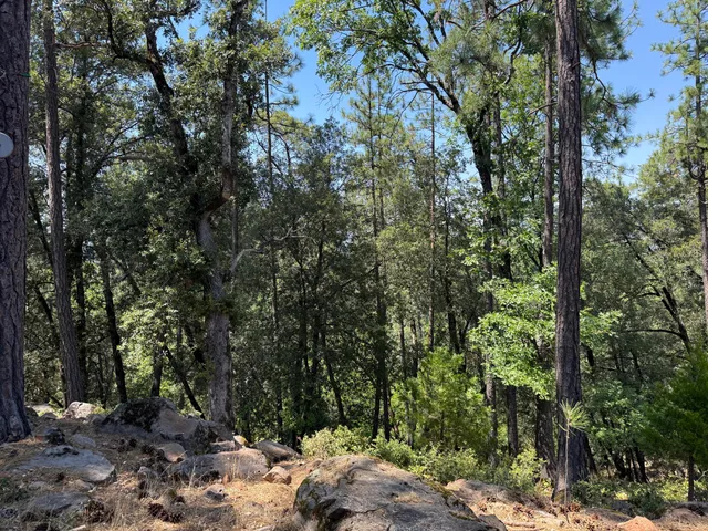 a view of backyard with green space