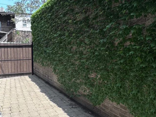 a view of backyard with small space