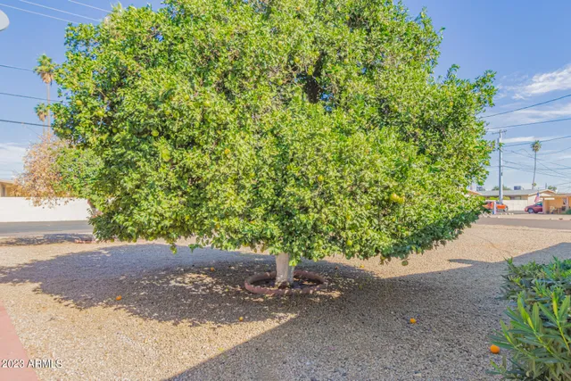 $1,450 | 10612 West Oakmont Drive, Sun City, AZ 85351