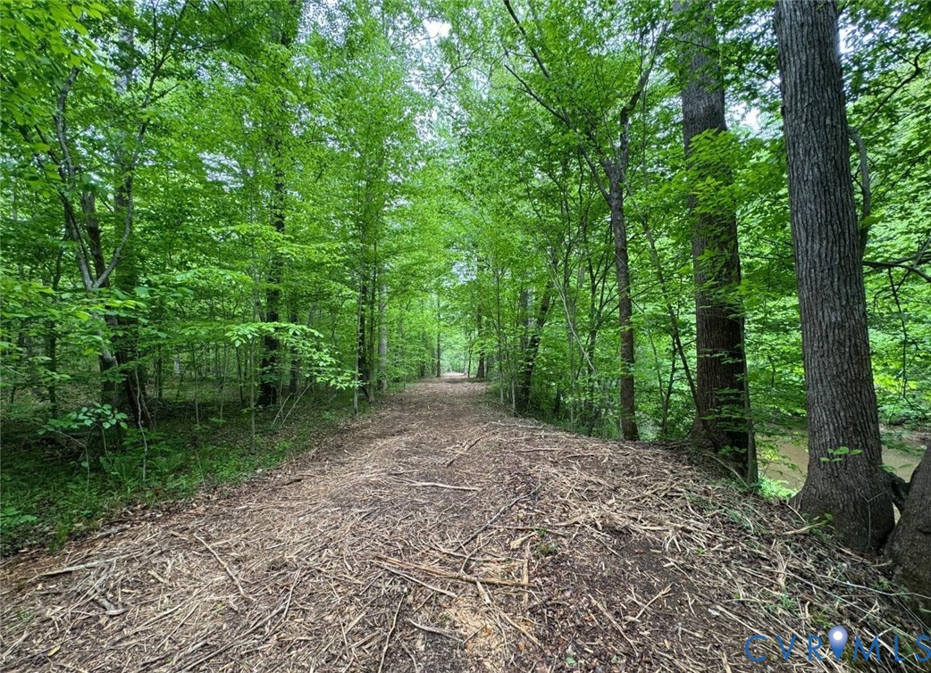 0 Hollywood Road Appomattox, VA 24522 - Photo 8 of 10