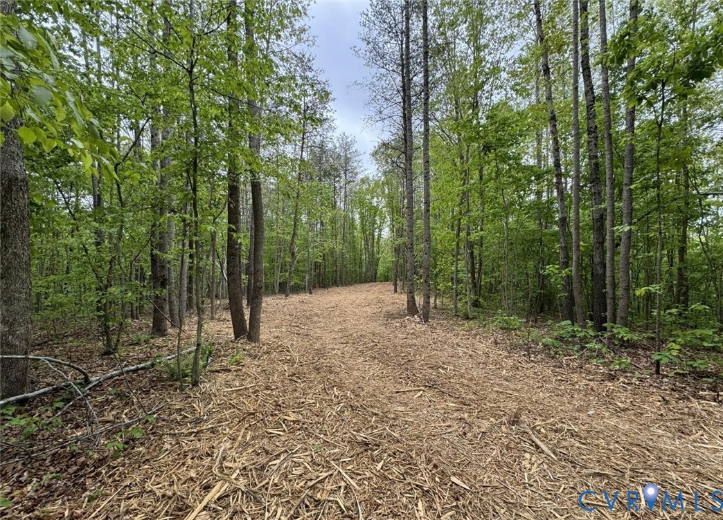 0 Hollywood Road Appomattox, VA 24522 - Photo 10 of 10