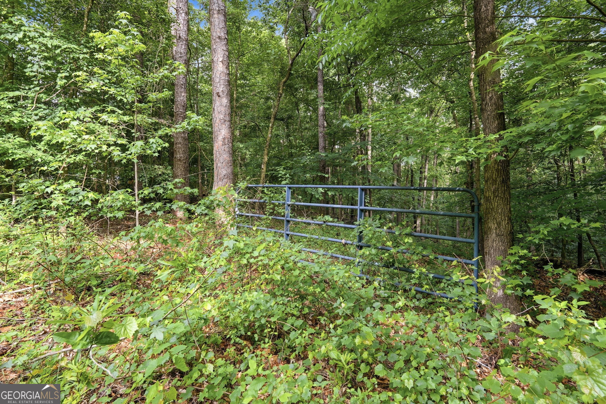 1504 Academy Church Road Jefferson, GA 30549 - Photo 19 of 21