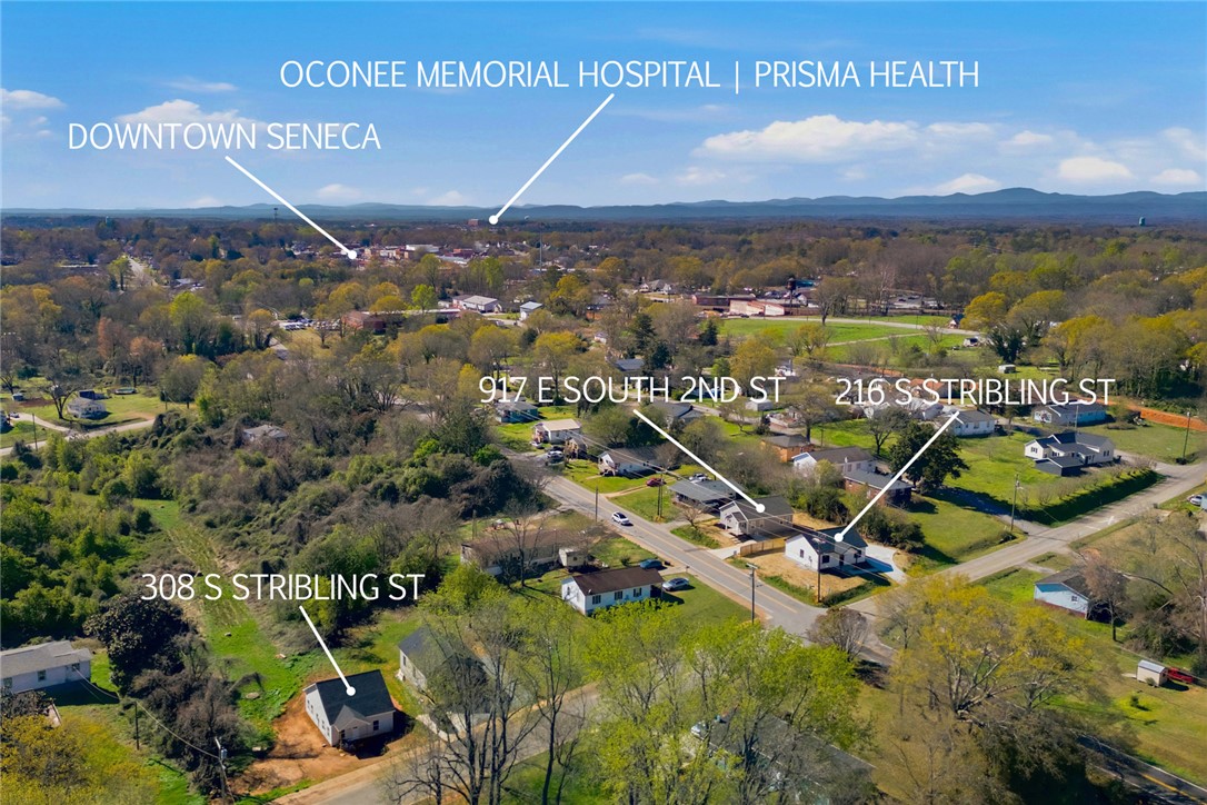 216 South Stribling Street Seneca, SC 29678 - Photo 31 of 38