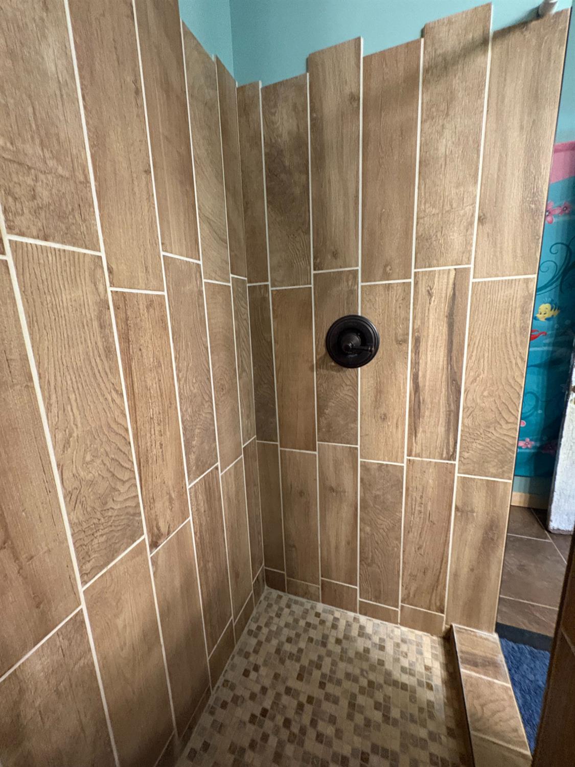 9066 Fairview Road Vevay, IN 47043 - Photo 35 of 72 Basement Shower