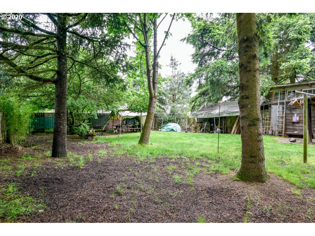 1229 5th Street Springfield, OR 97477 - Photo 28 of 32