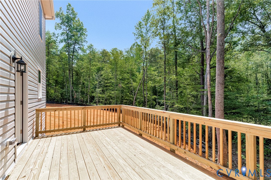 1011 Swan Lane Ruther Glen, VA 22546 - Photo 53 of 54
