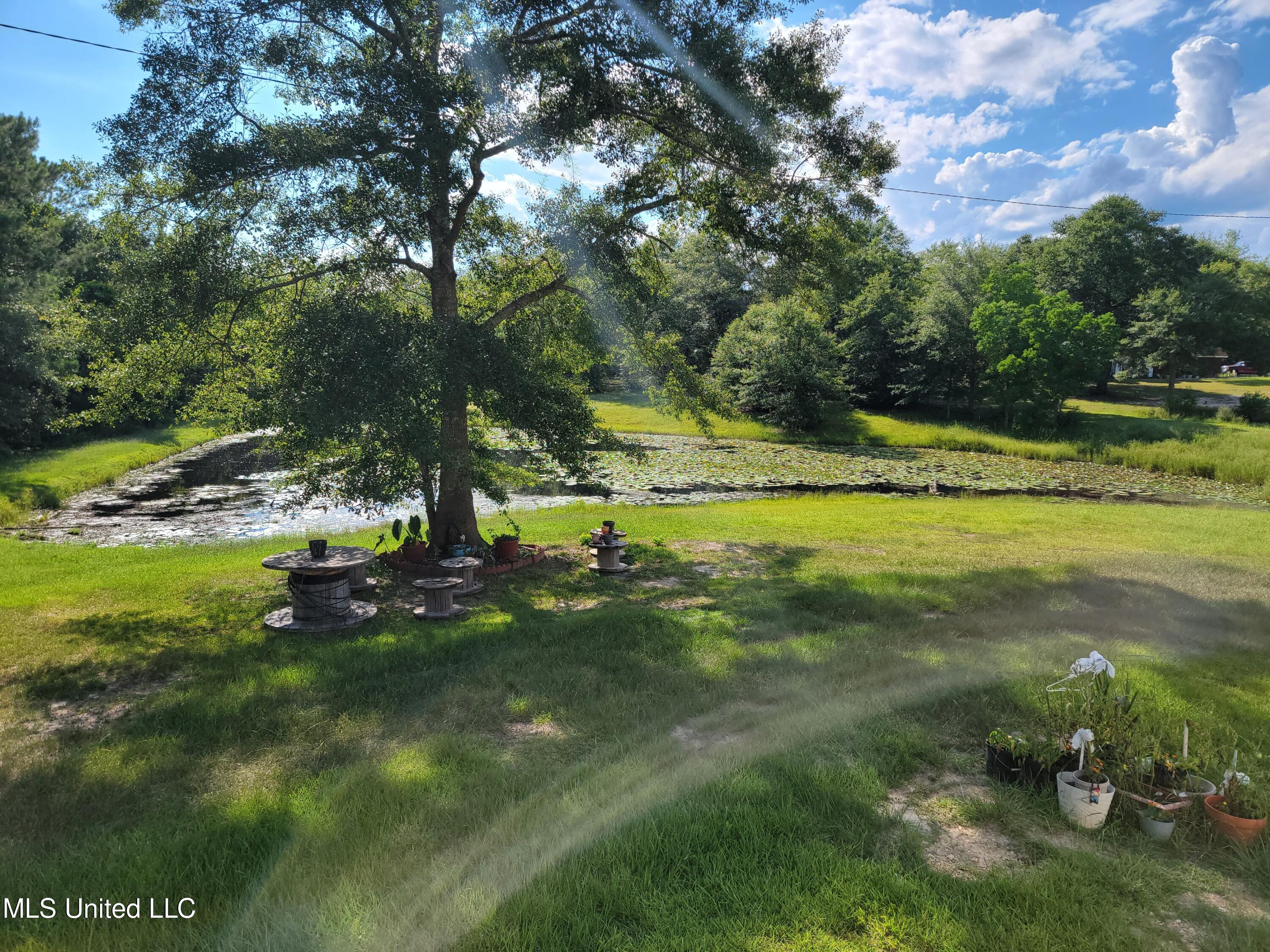 18320 Diamond Road Saucier, MS 39574 - Photo 28 of 42 20240627_165858