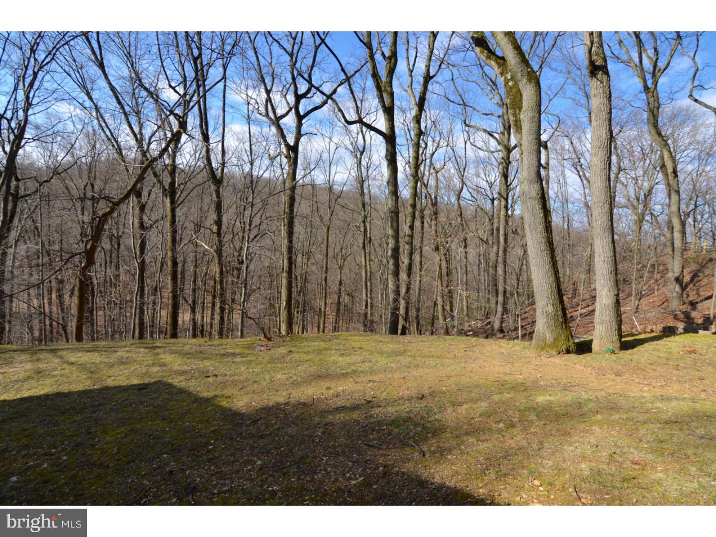 341 Greene Road Berwyn, PA 19312 - Photo 21 of 22 View in Back