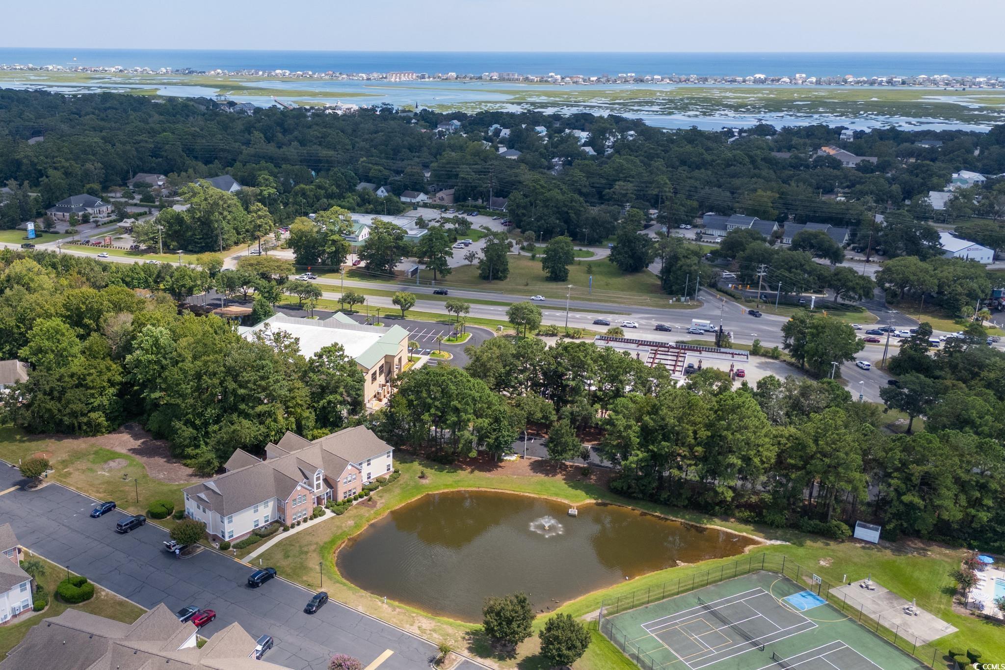 4283 Santolina Way, Unit D Murrells Inlet, SC 29576 - Photo 30 of 31 Aerial view of a large body of water