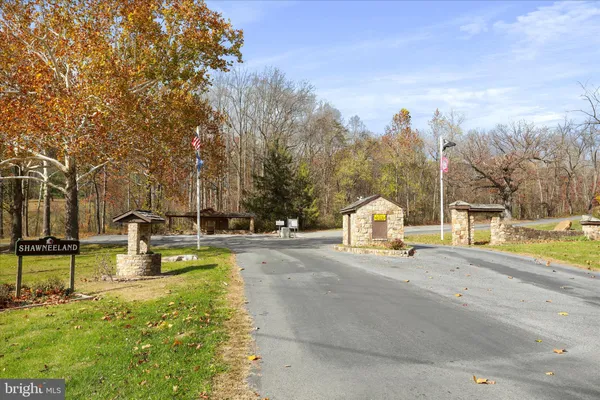 a view of a yard with trees
