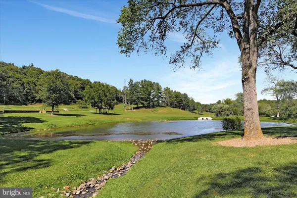 a view of a park with large trees