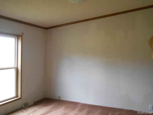 12865 Jeddo Road Yale, MI 48097 - Photo 9 of 11