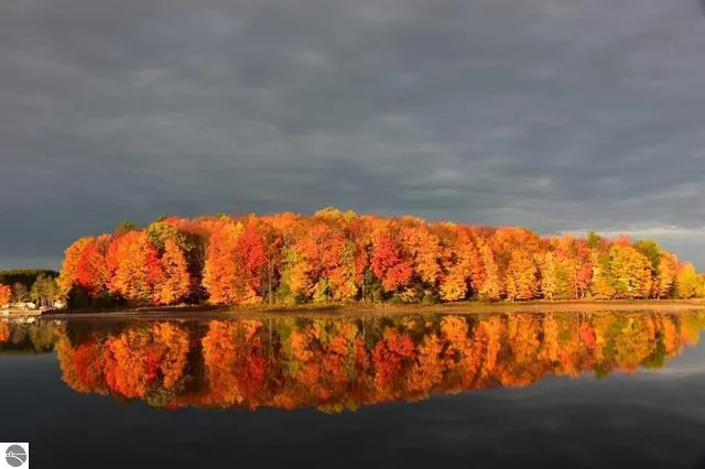 $498,500 | 9561 Peterson Drive, Cadillac, MI 49601