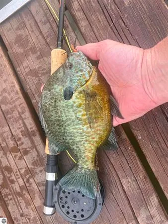 $498,500 | 9561 Peterson Drive, Cadillac, MI 49601