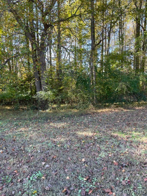 8779 Croaker Road Williamsburg, VA 23188 - Photo 3 of 11 Gallery Image 3