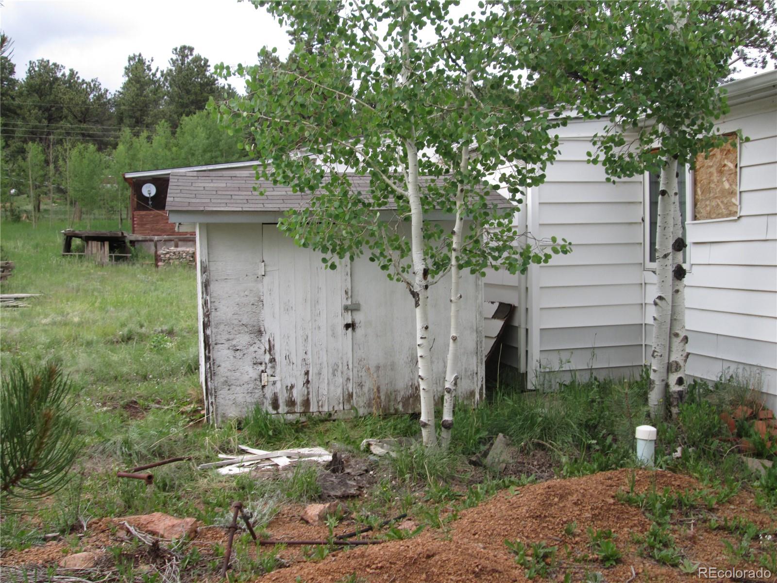 233 Sullivan Street Bailey, CO 80421 - Photo 4 of 24