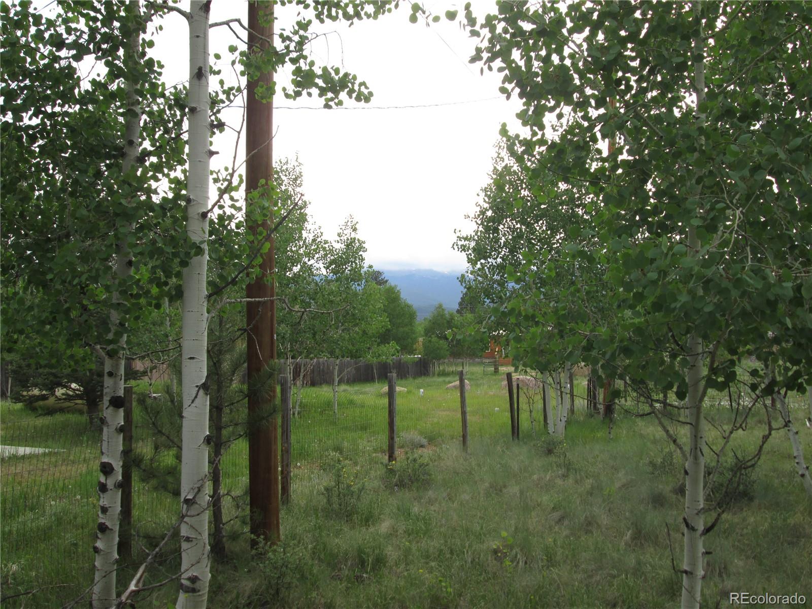 233 Sullivan Street Bailey, CO 80421 - Photo 6 of 24