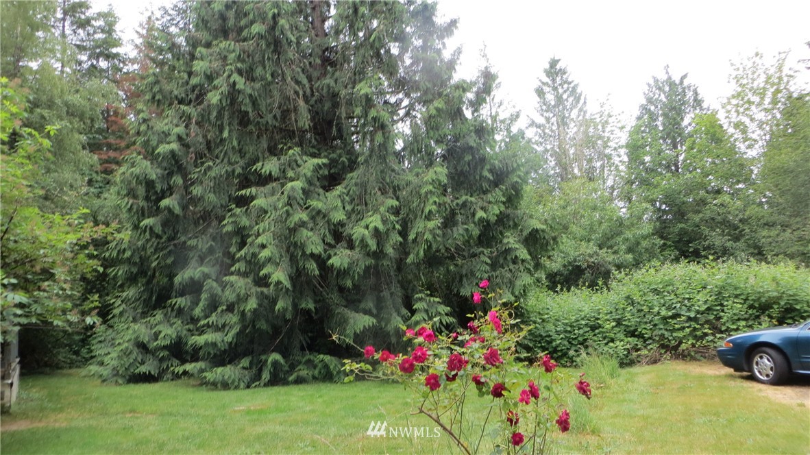 344 Halliday Road Centralia, WA 98531 - Photo 22 of 23 Gallery Image 22