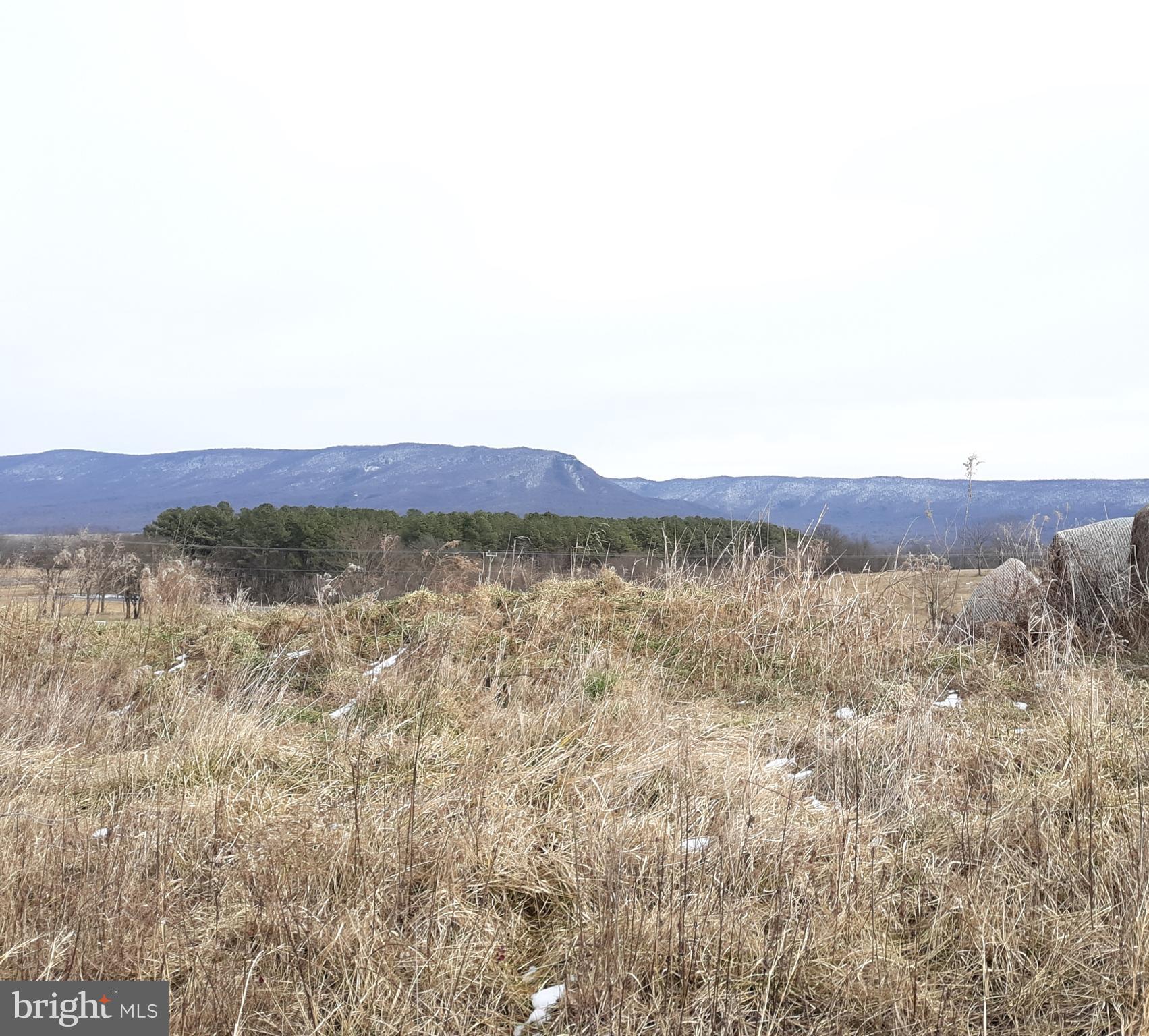 Lot 2 Pinewoods Road Quicksburg, VA 22847 - Photo 1 of 4 Mountain View from the property