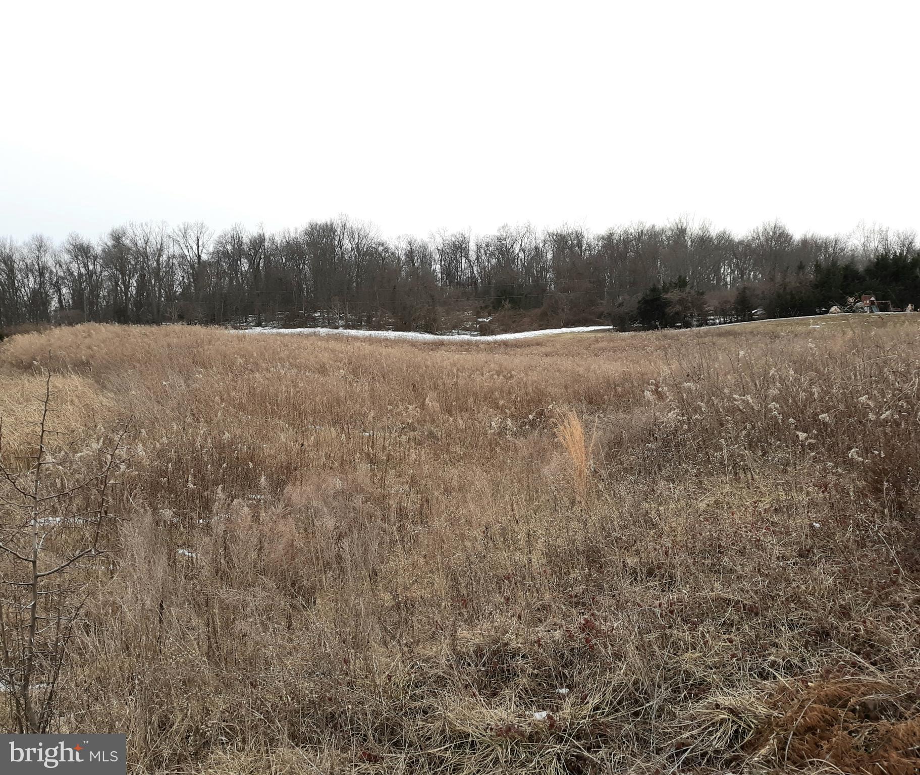 Lot 2 Pinewoods Road Quicksburg, VA 22847 - Photo 4 of 4 Photo of lot